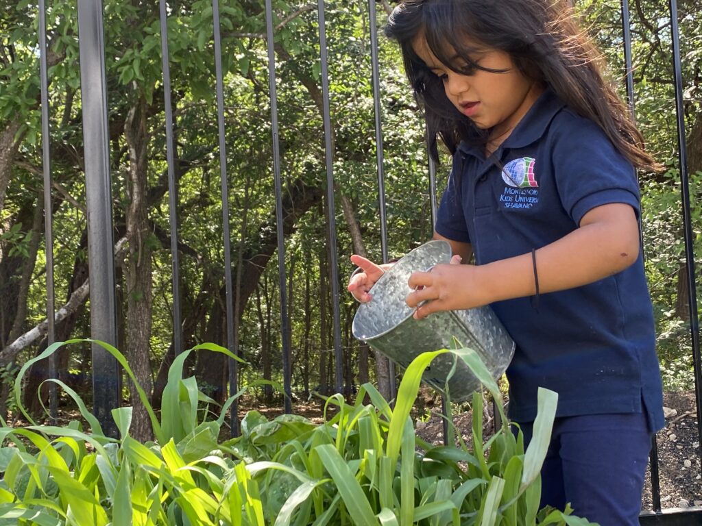 Children gardening at Montessori Kids Universe Baymeadows